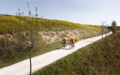 Explora la Naturaleza a Pedal: Rutas en Bicicleta por Alcalá de los Gazules